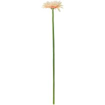 položky Umelé kvety Gerbera Marhuľa 47cm
