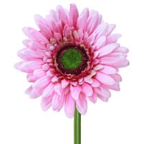 položky Umelé kvety Gerbera Garden Umelé kvety ružové 47cm