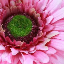 položky Umelé kvety Gerbera Garden Umelé kvety ružové 47cm