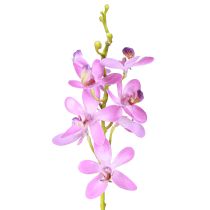 položky Umelé orchidey 8 fialových kvetov Ø3,5cm–5cm 2ks
