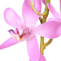 položky Umelé orchidey 8 fialových kvetov Ø3,5cm–5cm 2ks