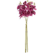 položky Umelé orchidey fialové umelé kvety ako skutočné 56cm 3 ks