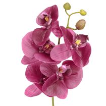 položky Umelé orchidey fialové umelé kvety ako skutočné 56cm 3 ks
