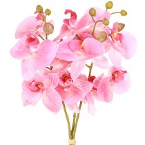 položky Umelé orchidey Ružové umelé kvety ako skutočné 56 cm 3 ks