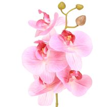 položky Umelé orchidey Ružové umelé kvety ako skutočné 56 cm 3 ks
