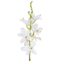 položky Umelé orchidey Biely kvet Ø3,5–5cm L38cm 2ks