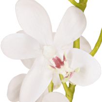 položky Umelé orchidey Biely kvet Ø3,5–5cm L38cm 2ks