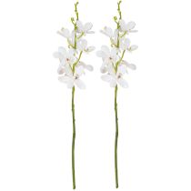 položky Umelé orchidey Biely kvet Ø3,5–5 cm D38 cm 2 ks