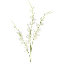 položky Umelá orchidea vetvička krémové biele kvety L90cm 2ks