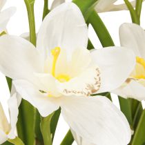 položky Umelé orchidey v kvetináči s bielymi kvetmi V80cm