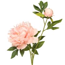 položky Umelé pivonky Paeonia ružová lososová L60cm 2ks