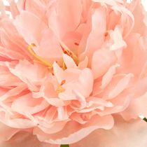 položky Umelé pivonky Paeonia ružová lososová L60cm 2ks