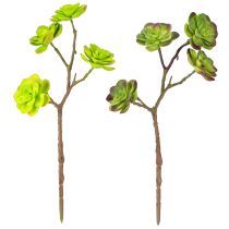 položky Umelé sukulenty so stonkou zelená fialová asort 32cm 2ks