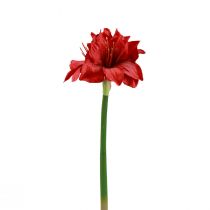 položky Umelé vianočné kvety Amaryllis Červené umelé kvety L40cm