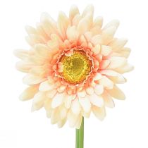 Umelé kvety Gerbera Marhuľa 47cm