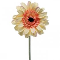 položky Umelý kvet gerbery umelý kvet marhuľa Ø11cm L50cm