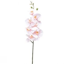 položky Umelá orchidea ružová Phalaenopsis Real Touch 83 cm