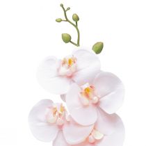 položky Umelá orchidea ružová Phalaenopsis Real Touch 83 cm