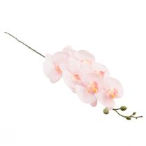 položky Umelá orchidea ružová Phalaenopsis Real Touch 83 cm