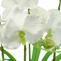 položky Umelé orchidey umelé kvety v bielom črepníku 60cm