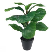 položky Umelá rastlina v kvetináči Ficus umelá rastlina v kvetináči 42 cm