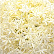 položky Umelá Allium krémová biela okrasná cibuľa Ø18cm L90cm