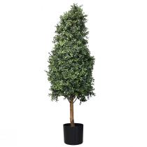 položky Umelý buxus v črepníku Box umelá rastlina V120cm