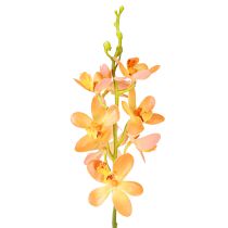 položky Vetva umelej orchidey 8 kvetov Orange L38cm 2ks