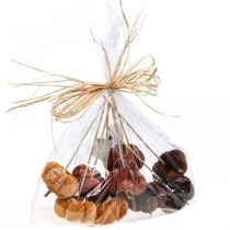 položky Deco tekvicová dekoračná zátka oranžová, hnedá mäkká Ø6,5m 9 ks