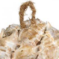 položky Dekoratívna guľa slimáčie mušle mušle dekorácia závesná prírodná Ø12cm