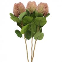 položky Umelé kvety, Banksia, Proteaceae bielo-fialové L58cm V6cm