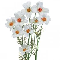 položky Umelé kvety Cosmea biele hodvábne kvety V51cm 3ks