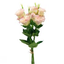položky Umelé kvety Eustoma Lisianthus ružová krémová 52cm 5ks