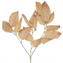 položky Umelá rastlina jesenná dekorácia konáre listy umyté biele L70cm