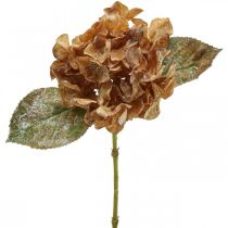 položky Umelá hortenzia vyschnutá Drylook jesenná dekorácia L33cm