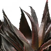 položky Umelá rastlina Aloe Vera v kvetináči Dekoračná rastlina zelená H20 cm