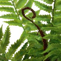 položky Umelá rastlina Umelá papraď Dekoratívne listy paprade zelené 40,5 cm