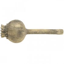 položky Dekorácia z umelého kameňa mak starožitná dekorácia hnedá Ø13cm L37,5cm