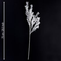 položky Umelý konár s matným dekoratívnym konárom, zimná dekorácia, biela 78 cm, 2 ks