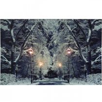 položky LED obraz zimná krajina park s lampášmi LED nástenná maľba 58x38cm