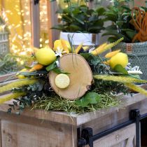 položky Lagurus Yellow Velvet Grass Rabbit Grass L40–55cm 25g