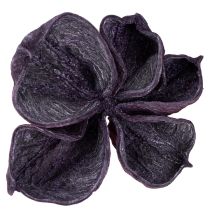 položky Landlotus Mix Blackberry, Old Pink 50 ks