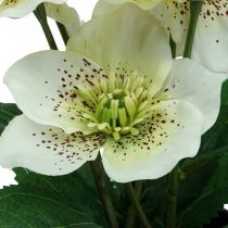 položky Pôstna ruža Hellebore Vianočný črepník ruže umelé kvety V25cm biela