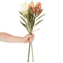 položky Umelý kvet protey Leucadendron s dlhou stonkou, 65 cm, 3 kusy