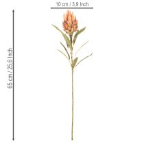 položky Umelý kvet protey Leucadendron s dlhou stonkou, 65 cm, 3 kusy