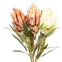 položky Umelý kvet protey Leucadendron s dlhou stonkou, 65 cm, 3 kusy