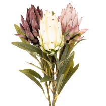 Článok Umelý kvet Protea Leucadendron 65cm 3 ks