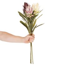 položky Umelý kvet Protea Leucadendron 100 cm 3 ks