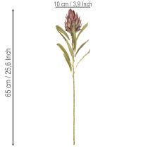 položky Umelý kvet Protea Leucadendron 100 cm 3 ks
