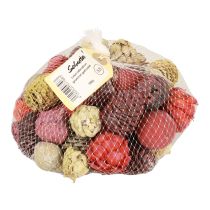 položky Leukadendronové šišky Bellgum Green Red Yellow Frosted 300g